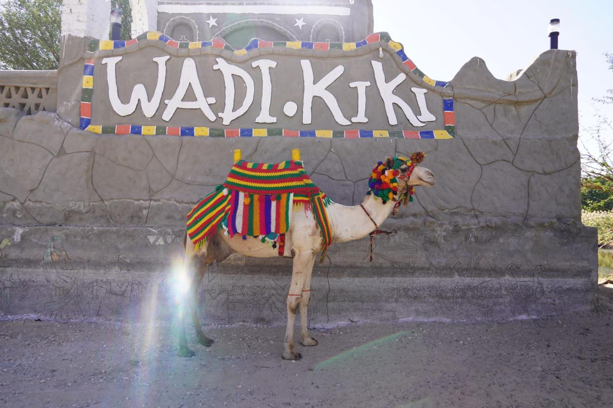 Artika Wadi Kiki Hotel アスワン エクステリア 写真